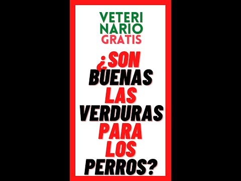 Video: ¿Puedo dar a mis perros brotes de alfalfa?