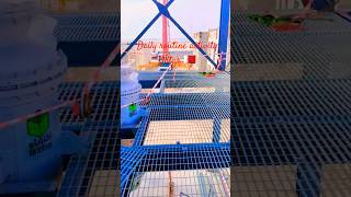 biodiesel plant Qatar 🇧🇭 #daily routine activity #welding fabrication #the fabrication lab #trending