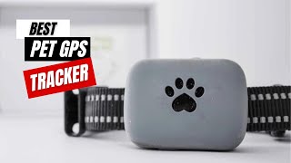 Best Pet GPS Tracker Available In 2024