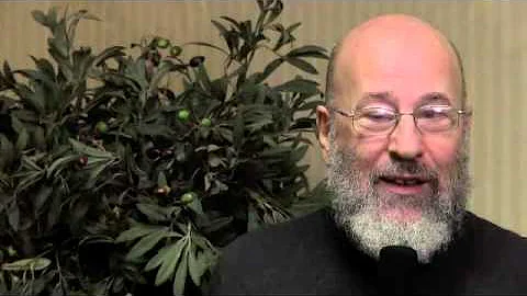 Imagination Takes You Beyond the Ordinary by Rabbi...