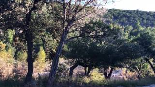 Frio River Cabins & Texas Staycation Resort | River Bluff