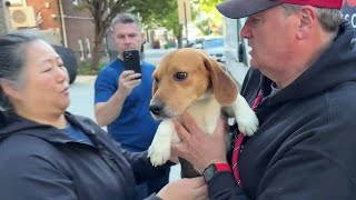 Major victory for Dog Rescue: Wisconsin breeding facility to shut down, 475 beagles saved