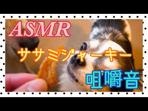 ササミジャーキー咀嚼音 ～The sound of eat Sasami jerky～【犬ASMR】