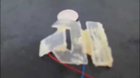 Inchworm Mobile Robot