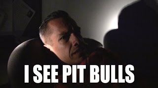 I SEE PIT BULLS