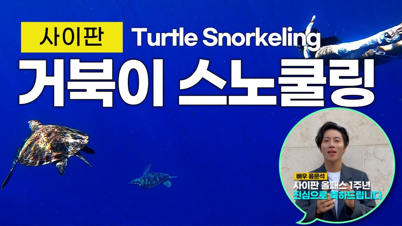 사이판 여행 하시면 거북이 스노클링은 꼭 하세요. ㅣ 특히 아이들이 너무 좋아하고 진짜 대박이에요~!!