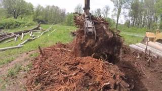 Monster stump removal in high speed! Komatsu PC200.