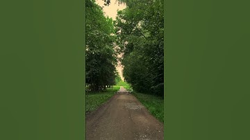 قل ان الموت الذي تفرون منه فإنه ملاقيكم /سورة الجمعه /بصوت ماهر المعيقلي @MaherAlMuaiqly