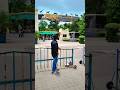 "Indore Zoo !!" #shorts #trending #zoo