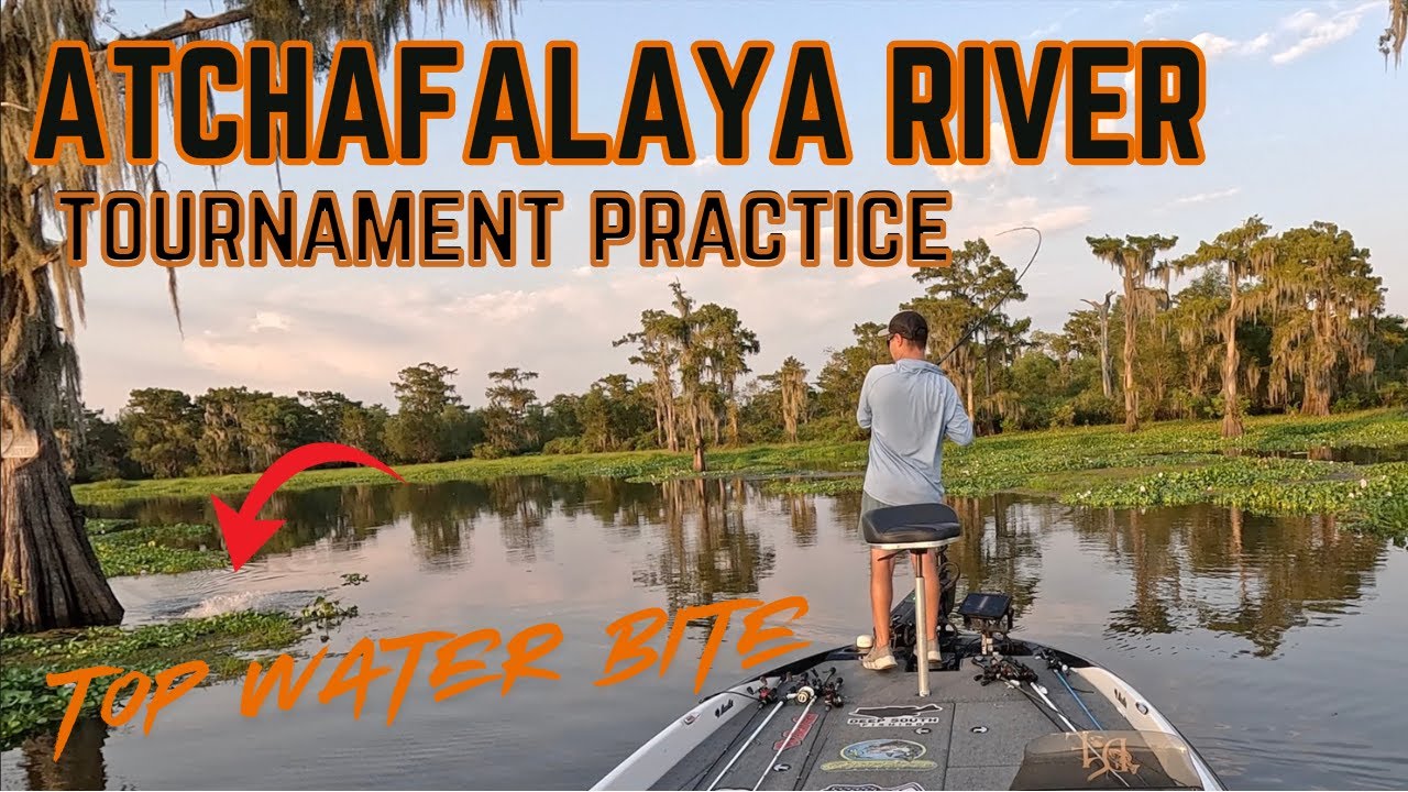 Bass Fishing the Beautiful Atchafalaya River Basin – TOP WATER BITES