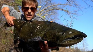 GIANT King Salmon on the MUSKEGON RIVER!!