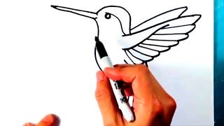 How to Draw a HUMMINGBIRD