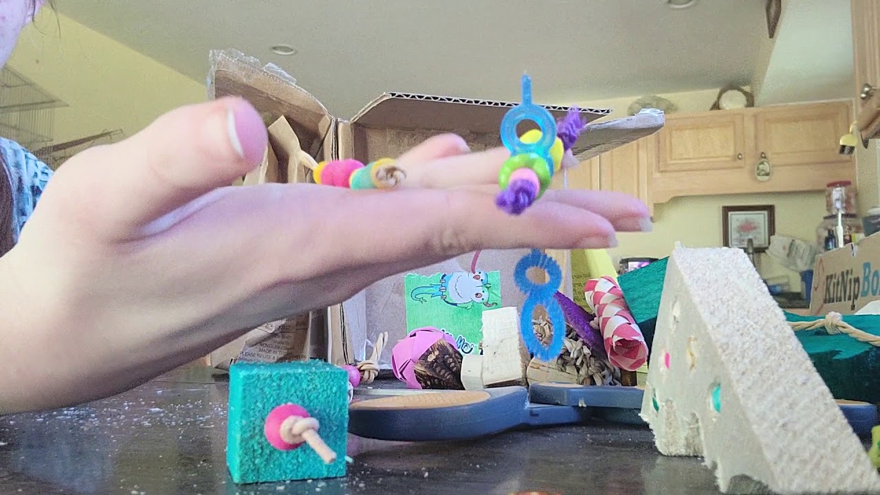 Mystery bird box unboxing YouTube