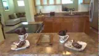 4101 Cortez Way South; Lakewood Estates, St. Petersburg, FL 33705