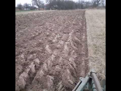Плуг Unia Grudziadz 2x25 рік не оране поле. - YouTube