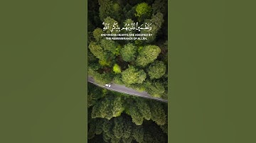 قران كريم #اكسبلور #راحة_نفسية #القزابري #قران_كريم #حالات_واتس #yasseraldossary #ياسر_الدوسري