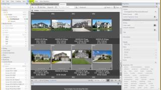 Find your image publications in the Internet by Daminion screenshot 5