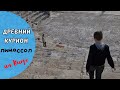 КИПР влог:  древний КУРИОН / из Лимасола В Пафос