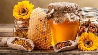 Пчеловодство.Технология производства продуктов пчеловодства. СССР