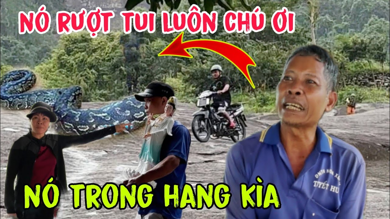 Kinh Hoàng Rắn Hổ Mây Khổng Lồ Xuất Hiện Trên Núi – Chủ Đất 100 Công Tiết Lộ Lý Do Không Bán