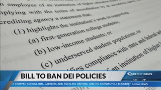 North Carolina joins SC in creating bill that eliminates state DEI initiates