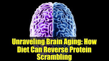 Unraveling Brain Aging: How Diet Can Reverse Protein Scrambling