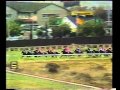 1986 gr1 cape of good hope derby