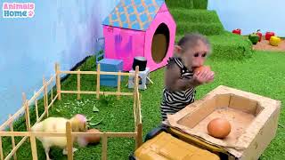 How does BiBi make mony? #babymonkey#Animalshome #افلام_كرتون#طيور__الجنة#فيديوهات_مضحكة#قرد الزكي