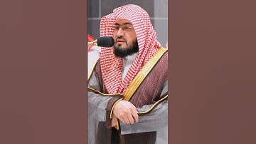 قالوا يا موسى إنا لن ندخلها أبدا ما داموا فيها | تلاوة تدبرية خاشعة للشيخ بندر بليلة