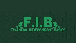 F.I.B. Marketing Video screenshot 5