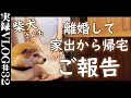 柴犬と家出から帰宅【離婚して一人暮らし】vlog32