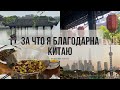 ЗА ЧТО Я БЛАГОДАРНА КИТАЮ| 9 благодарностей MY LIKES AND DISLIKES ABOUT LIFE IN CHINA| PART 1