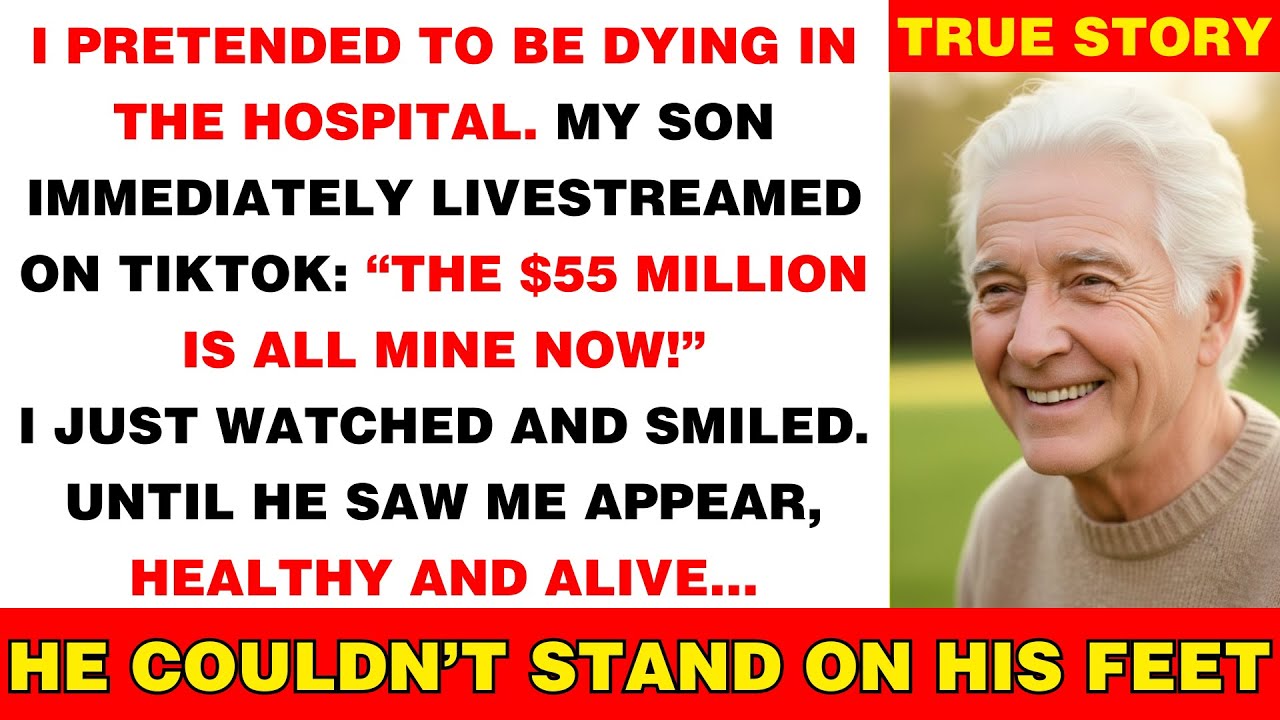 Мой сын смеялся: «Не жди ни копейки от маминых 55 миллионов долларов!» — пока адвокат не прочитал...