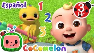 Cuenta los patitos🐤 | CoComelon y los animales 🍉| Caricaturas para niños | Español Latino