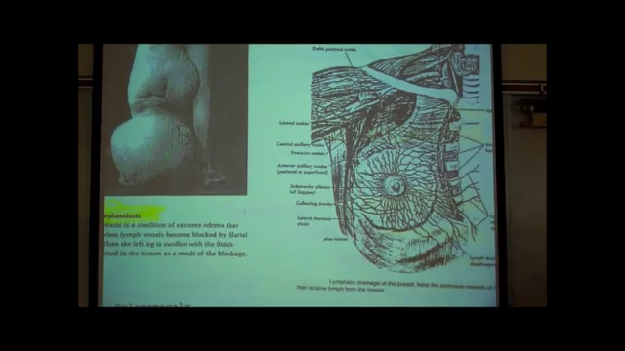 professor fink physiology professor fink physiology
