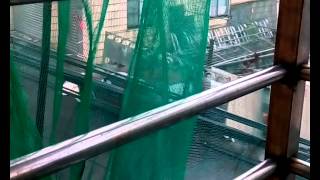 1040808_蘇迪勒 颱風天車子被砸到一次很倒霉 但是被砸一整天就很可憐了.....