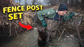 “Cheap & Effective Way to Catch Beavers”