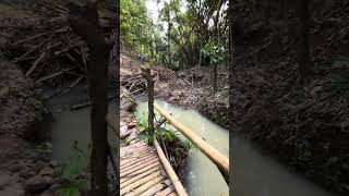 IMG 8988 hl 831pt4