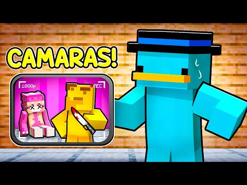 Usando CÁMARAS de