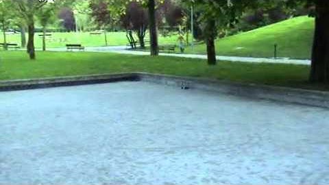 Robot explorador Bat Bot Microcontrolador Basic Stamp sensores ultrasonidos SRF0