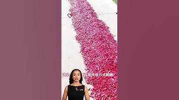 #fcnfm Maximize Your Production Efficiency with Our High-Performance Drying Machines