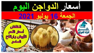 أسعار بورصة الدواجن والكتاكيت والبط والسمان | وأسعار بيض المائدة والعلف اليوم الجمعة 16 / 7 / 2021 !