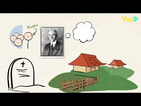 Видео: Бяха ли Хенри Форд и Томас Едисън приятели?