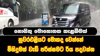 නොසිතු මොහොතක කැළඹීමක්... නුවරඑළියට මහ විනාශයක් ද?මිහිදුමත් වැඩි පරිස්සමට රිය පදවන්න
