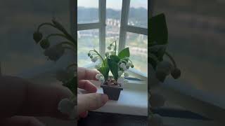 Download Lagu #shorts Handmade Lily of the valley | Clay flower | Flower Art | Miniature Flower Pot MP3 Download Lagu #shorts Handmade Lily of the valley | Clay flower | Flower Art | Miniature Flower Pot MP3