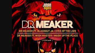 Dr Meaker ft wish master _  mash up the place