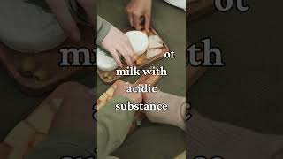 Paneer vs Cheese: What is the difference?