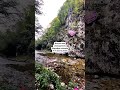 Искусство сновидений.Марафон онлайн 9-11 июня.Ссылка в описании 🔥