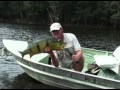 Steve Townson With A Big Peacock Bass