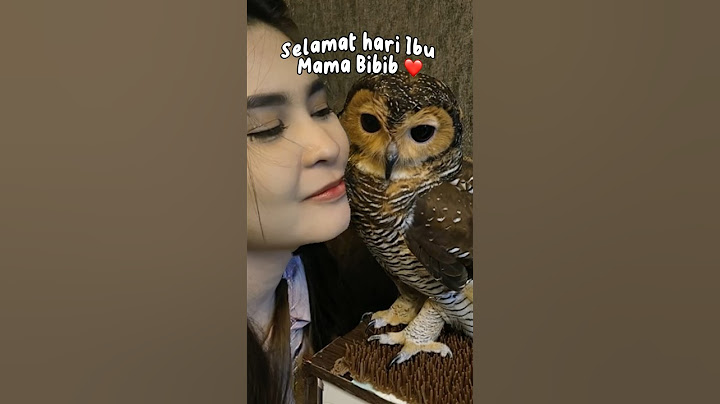 Bibib love Mama!!❤️ Happy Bibib Mother’s Day #animals #burunghantu #funnyvideo #hewanlucu #owl